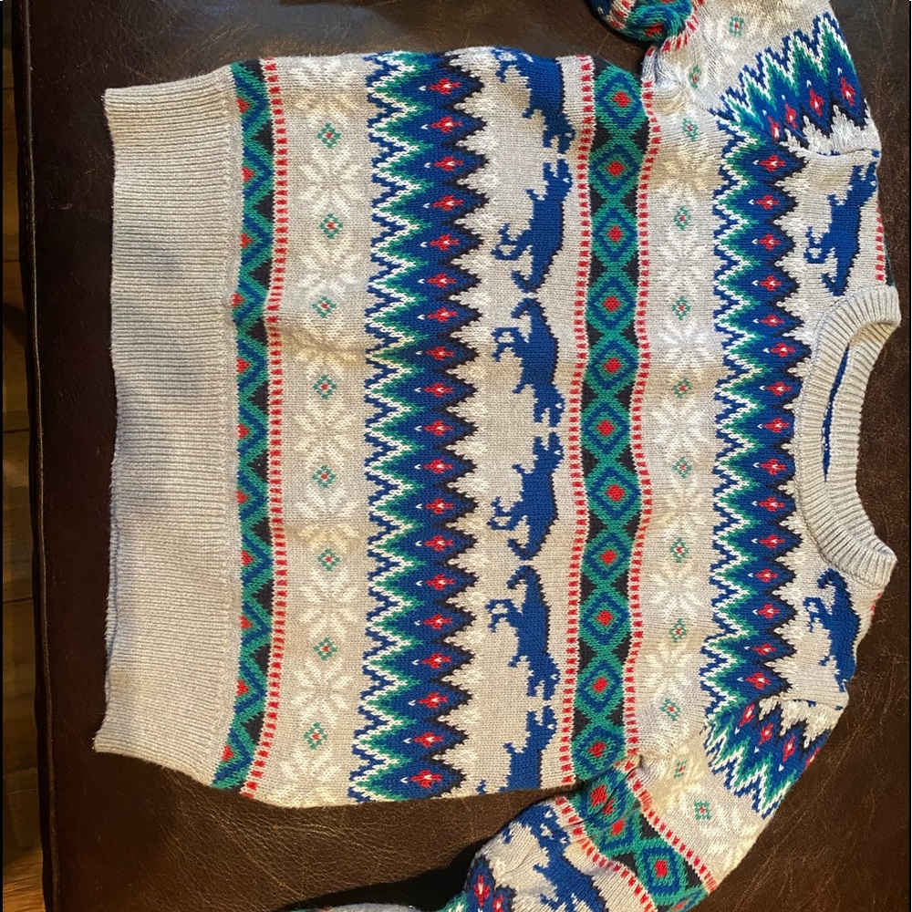 Osh Kosh dinosaur fair isle sweater